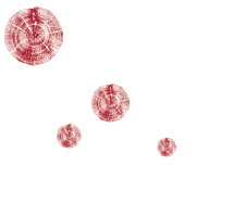 Rafael Reissig Asenjo